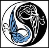 Little Wing Design